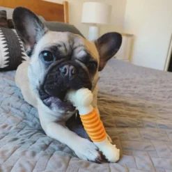 Nylabone Osso Mordedor Dentário com Sabor a Bacon para cães
