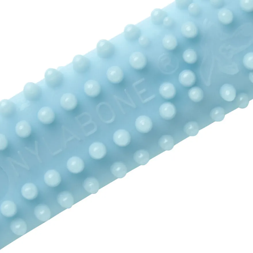 Nylabone Osso Mordedor Dentário com Sabor a Frango para cachorros