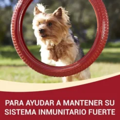 One Adult Mini Small Multipack Frango e Cordeiro com molho em saquetas para cães