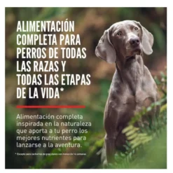 Orijen Fit&Trim ração para cães