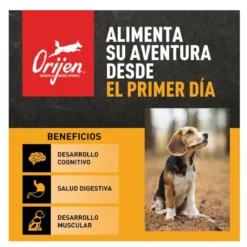 Orijen Puppy ração para cães