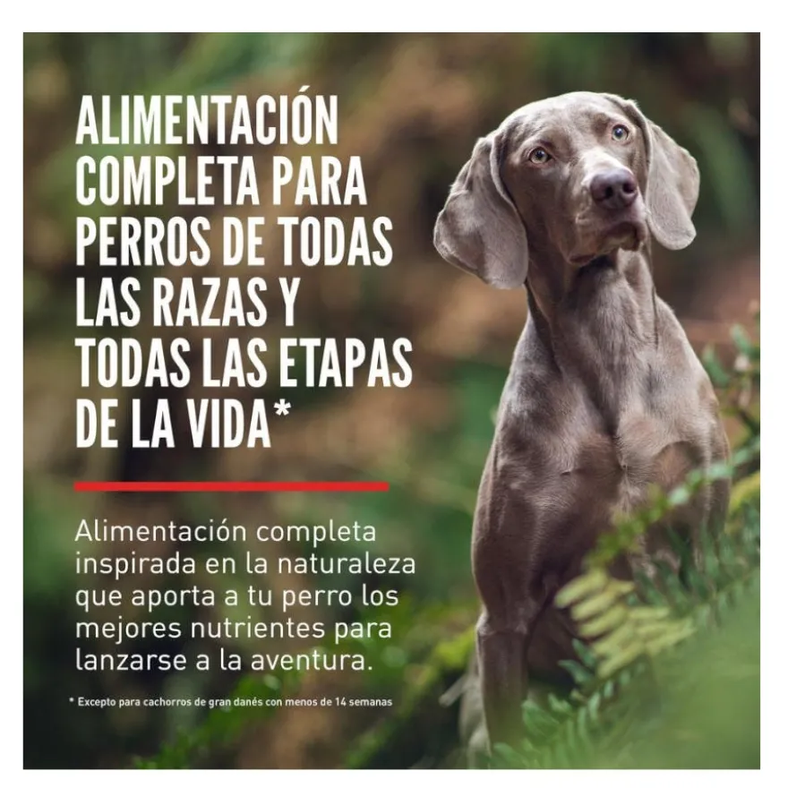 Orijen Six Fish ração para cães