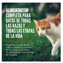 Orijen Six Fish ração para gatos e gatinhos
