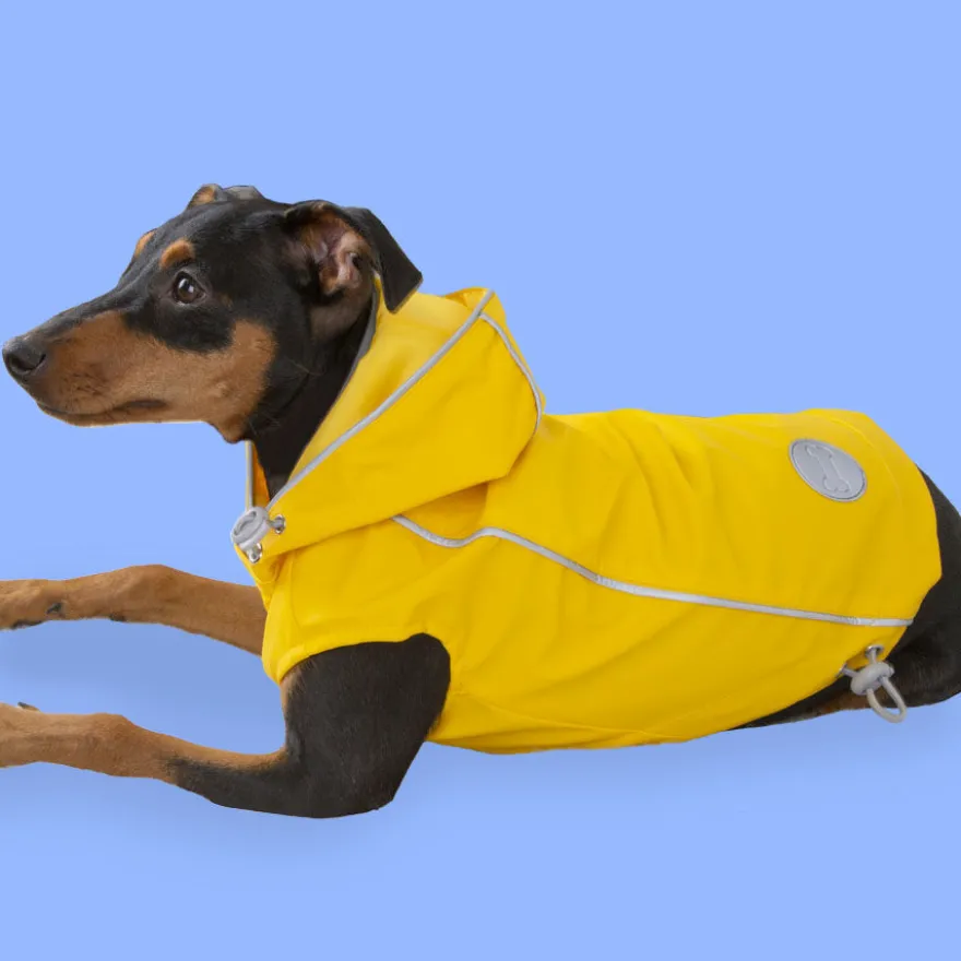 Outech Fisher Capa de chuva amarela para cães