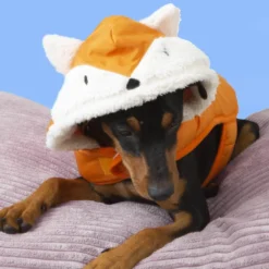 Outech Fox Casaco para cães