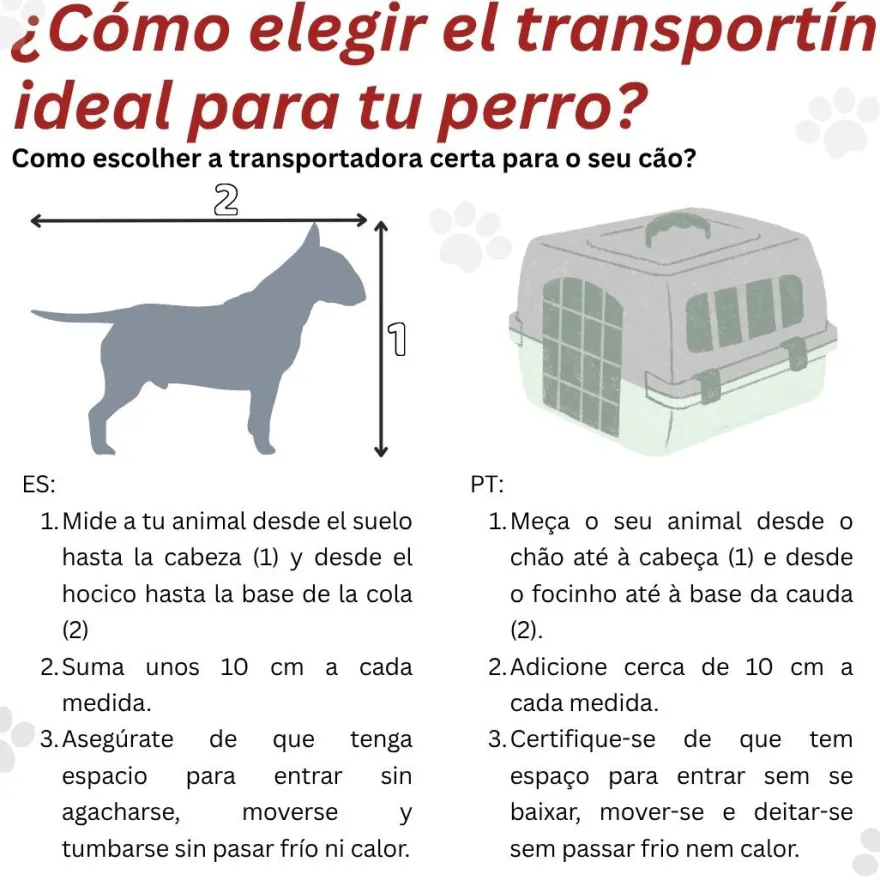 Outech IATA Apolo Transportadora para cães e gatos