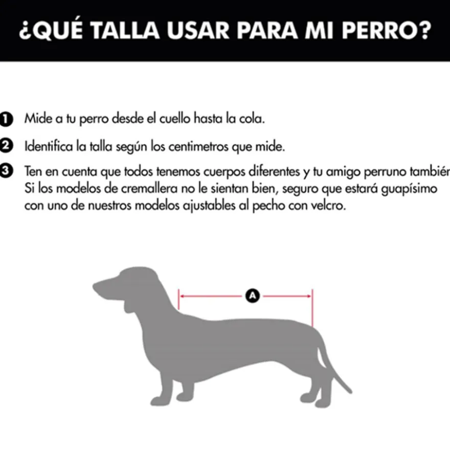 Outech Spring casaco de flores para cães