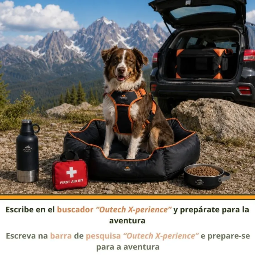 Outech X-perience Arnês de Carro para cães