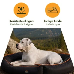 Outech X-perience Cama Dobrável para cães