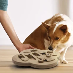 Outward Hound Hide n’ Slide Puzzle para cães
