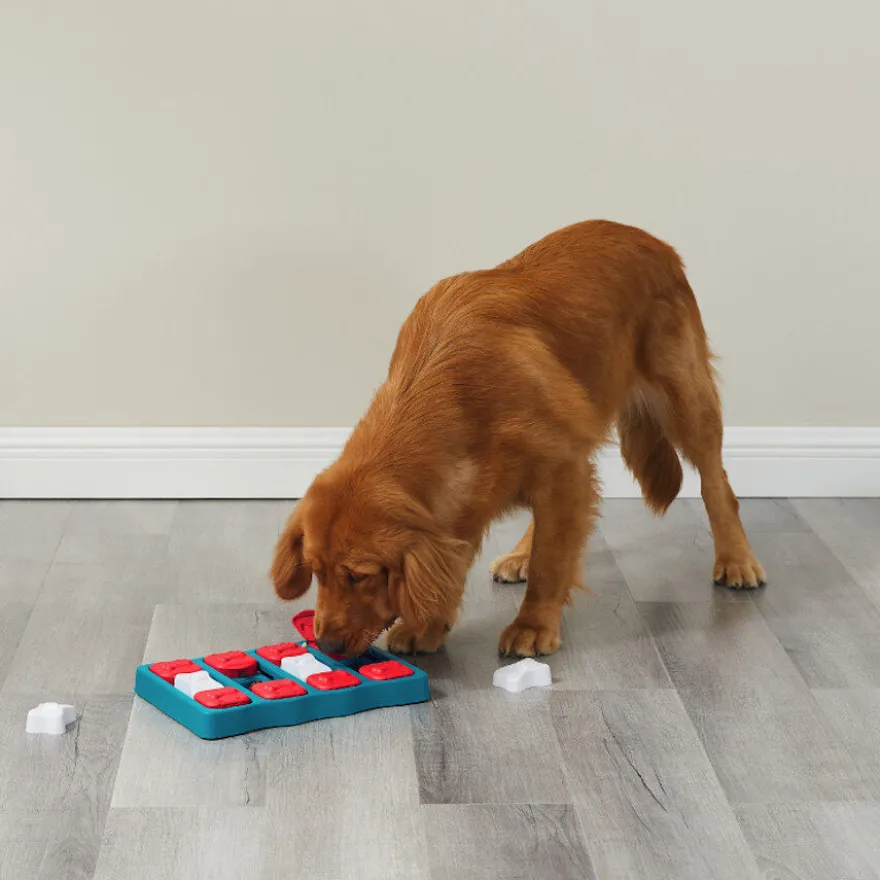 Outward Hound Nina Ottosson Brick Puzzle para cães