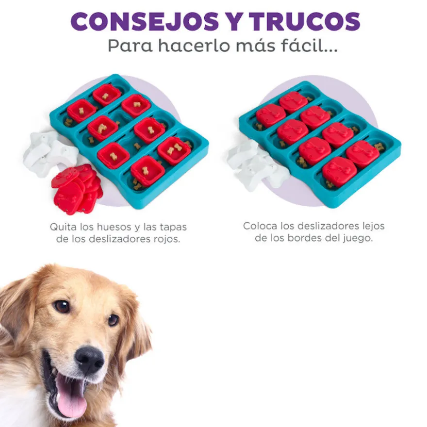 Outward Hound Nina Ottosson Brick Puzzle para cães