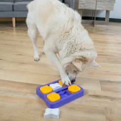 Outward Hound Nina Ottosson Brick Puzzle para cães