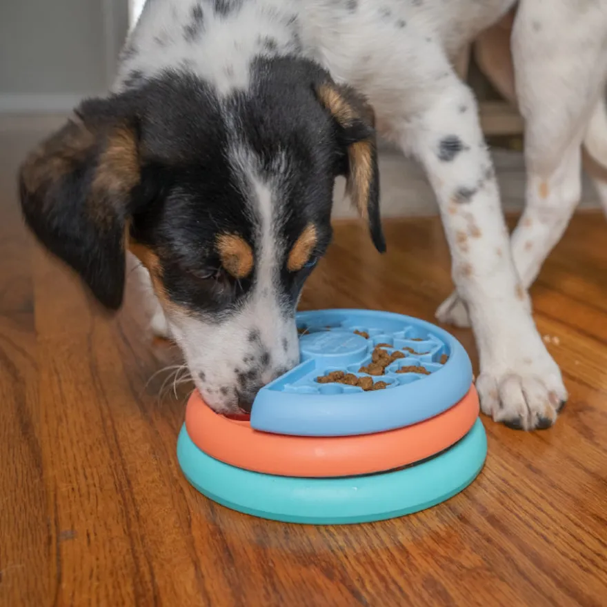Outward Hound Puppy Lickin' Layers Brinquedo interativo com Snacks para cães