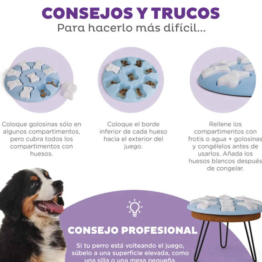 Outward Hound Puppy Smart Puzzle para cães