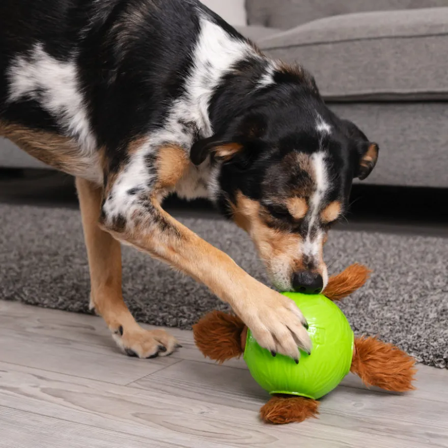 Outward Hound Snuffle n’ Treat Bola Interativa Porta-Snacks para cães