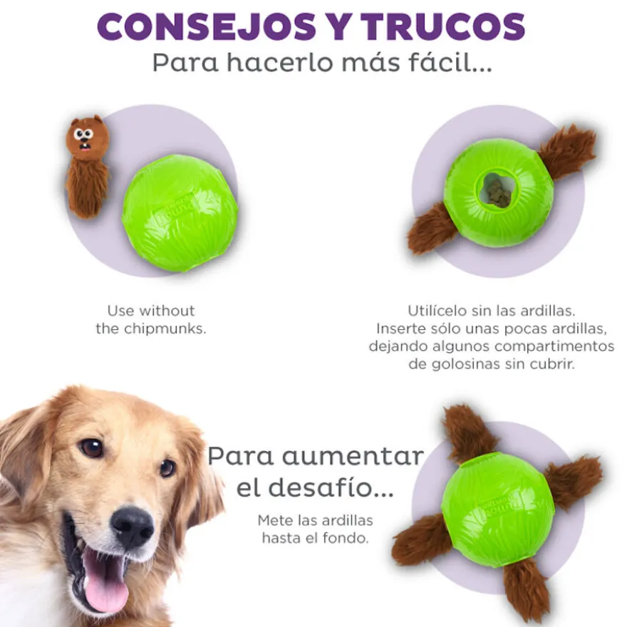 Outward Hound Snuffle n’ Treat Bola Interativa Porta-Snacks para cães