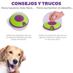 Outward Hound Treat Maze Disco interativo para cães