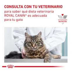 Pack 12 Saquetas Royal Canin Veterinary Diet Feline Urinary S/O 85 g