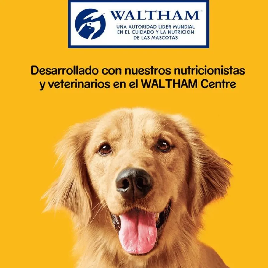 Pedigree Biscoitos Markies para Cães