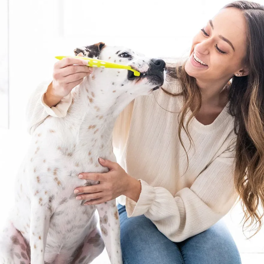 Petosan Kit de limpeza dentária para cães médios