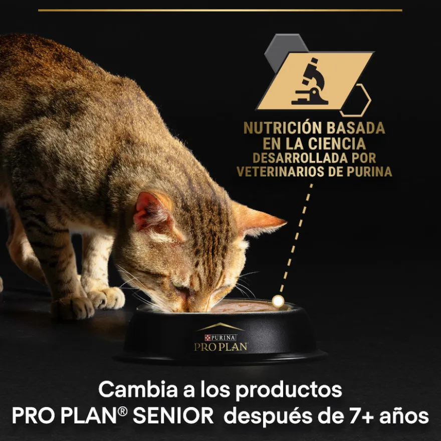 Pro Plan Adult Maintenance Frango em lata para gatos