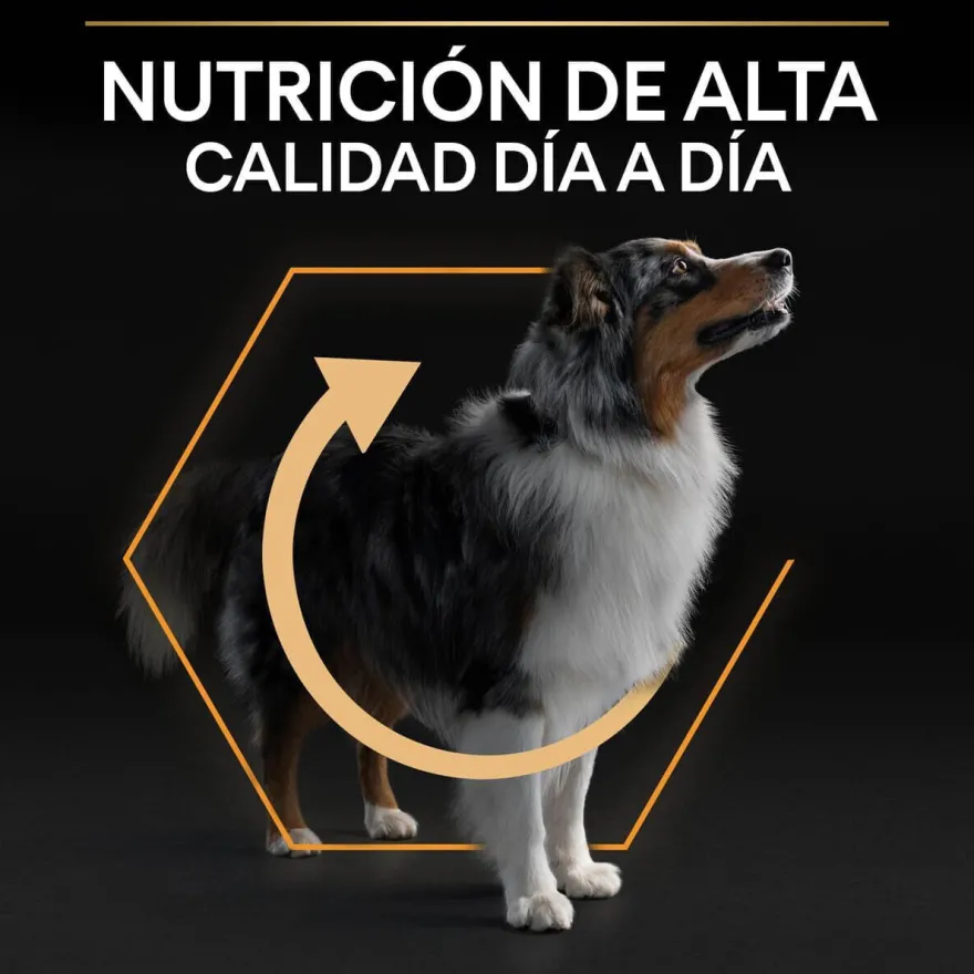 Pro Plan Medium Adult Frango ração para cães