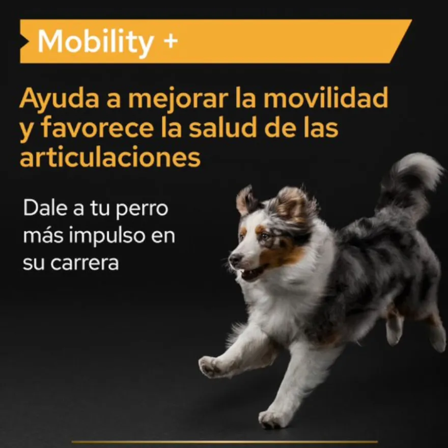 Pro Plan Mobility+ Suplemento para cães