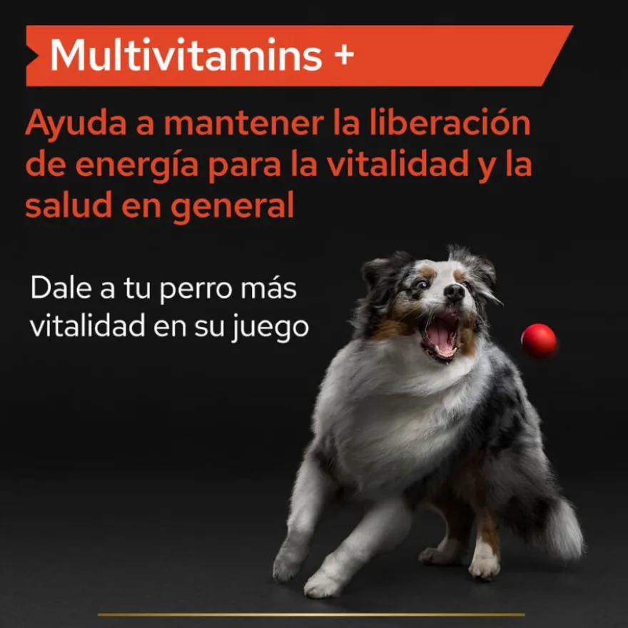 Pro Plan Multivitamin Suplemento para cães