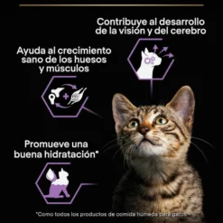 Pro Plan NutriSavour Feline Junior Peru saqueta em molho