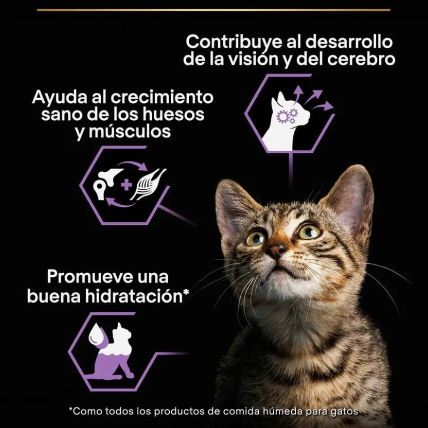 Pro Plan NutriSavour Feline Junior Peru saqueta em molho