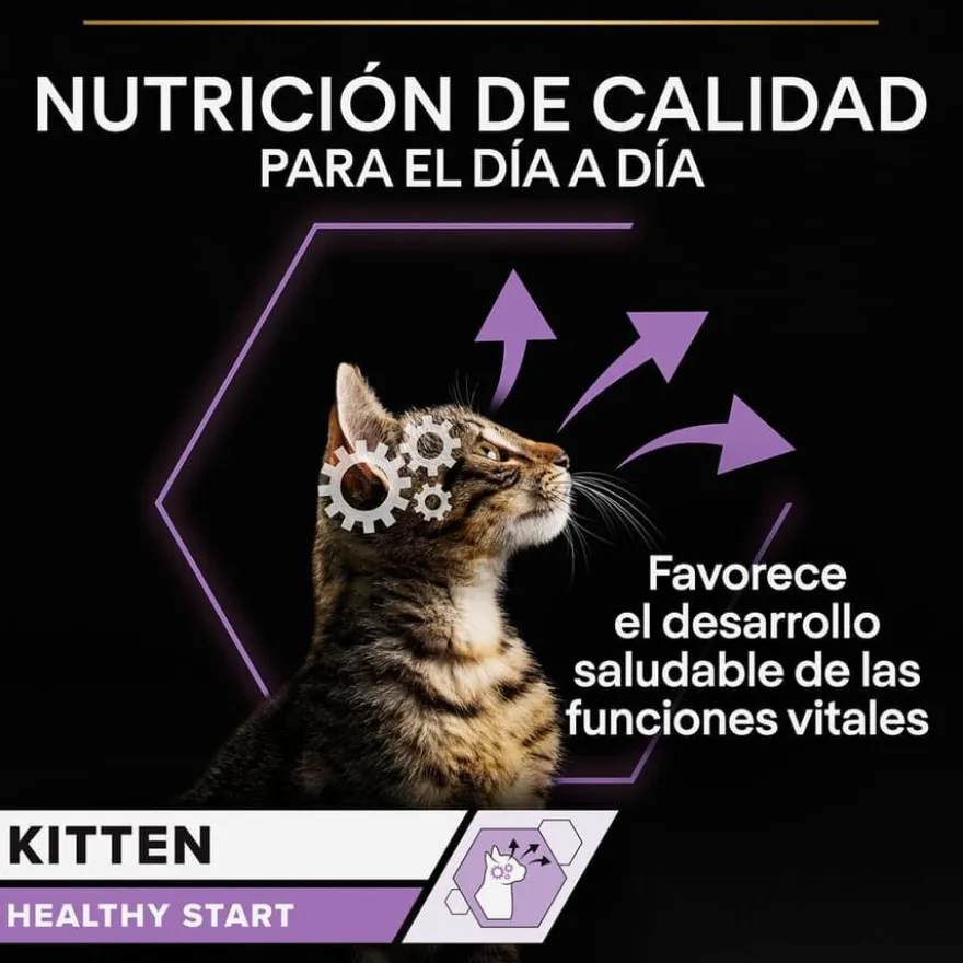 Pro Plan NutriSavour Feline Junior Peru saqueta em molho