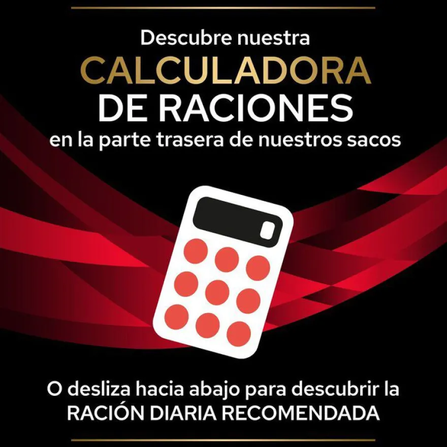 Pro Plan Veterinary Diets DM saquetas para gatos