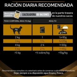 Pro Plan Veterinary Diets Renal Function Alimento húmido de salmão em saqueta para gatos