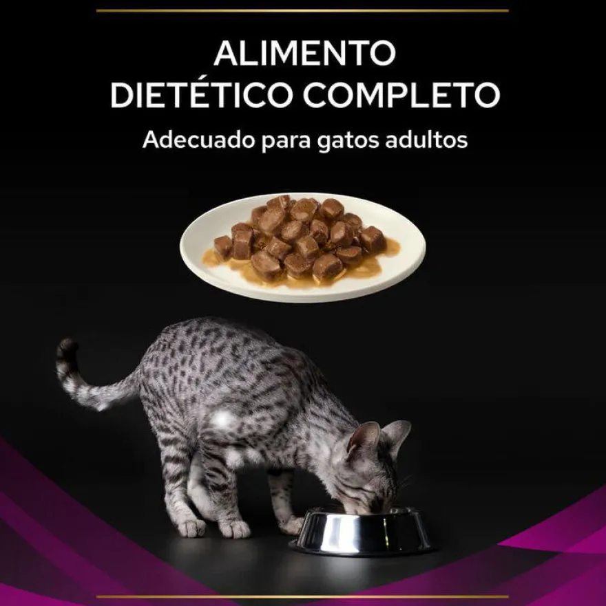 Pro Plan Veterinary Diets UR Salmão saqueta para gatos