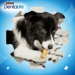 Purina Dentalife Medium Multipack para cães raça média