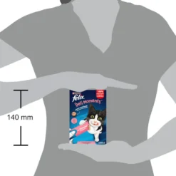 Purina Felix Deli Moments com Salmão Snack liquido para gatos