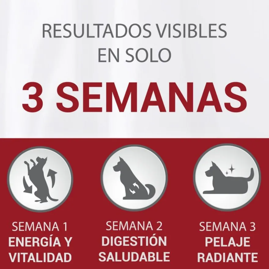Purina One Adult Mini Bifensis Sensitive Salmão e Arroz ração para cães