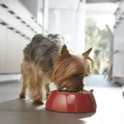 Purina One Adult Mini Weight Control Sterilised Peru e Arroz ração para cães