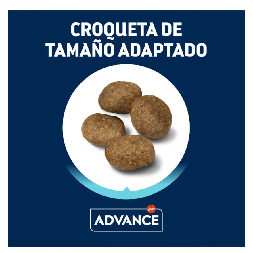 Ração Affinity Advance Borrego e Arroz para cães