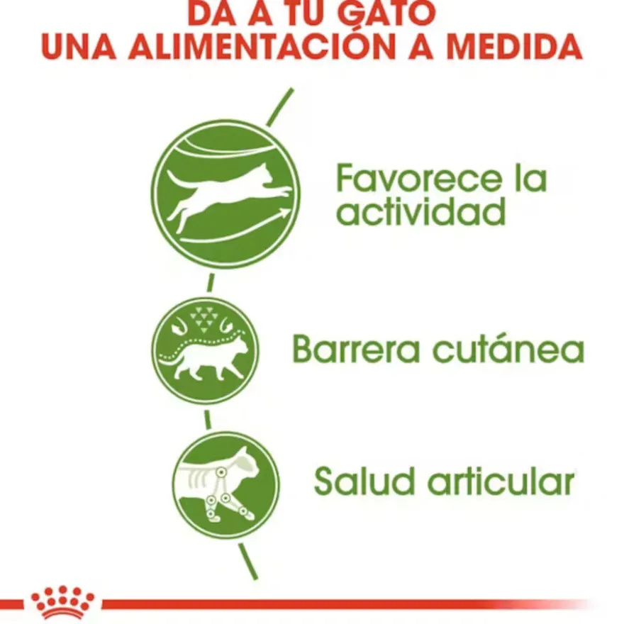 Royal Canin Active Life Outdoor Ração para gatos