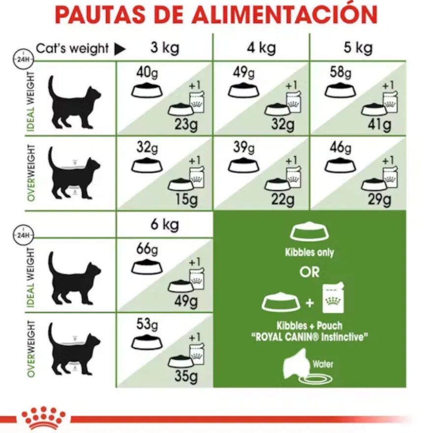 Royal Canin Active Life Outdoor Ração para gatos