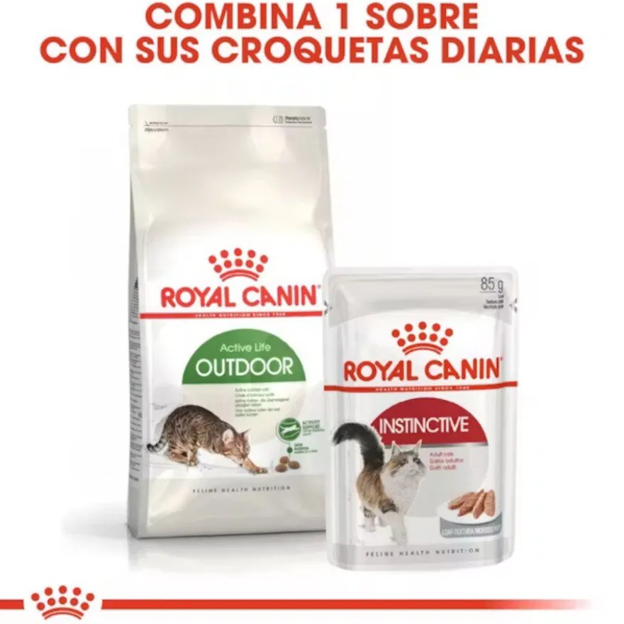 Royal Canin Active Life Outdoor Ração para gatos