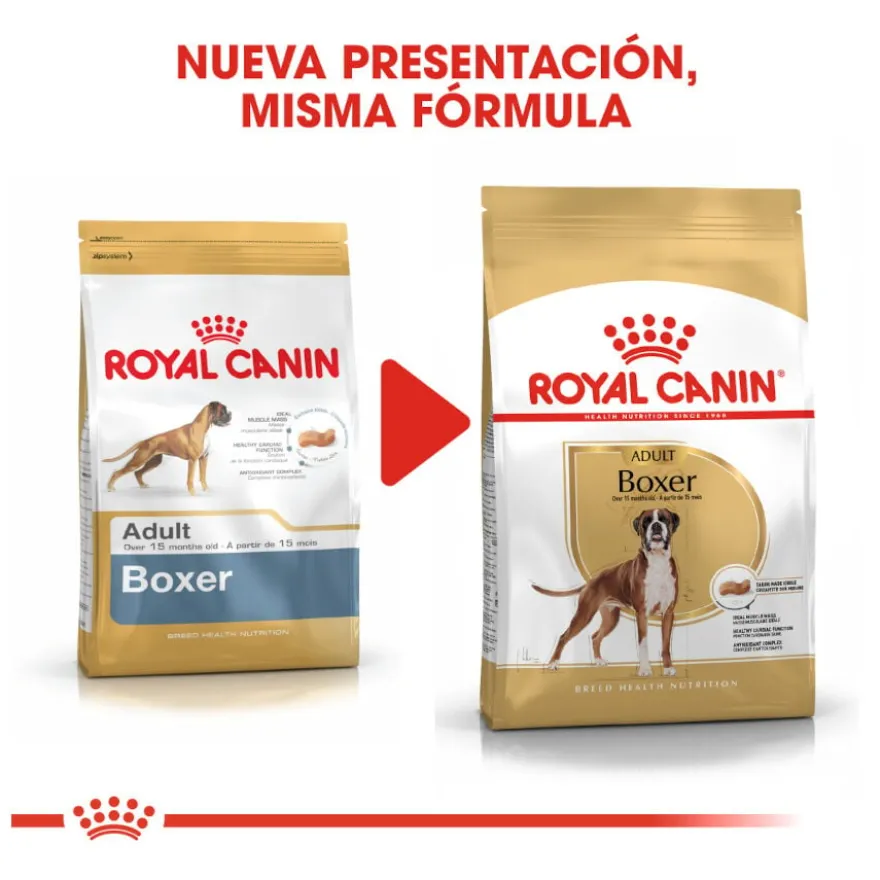 Royal Canin Adult Boxer ração para cães