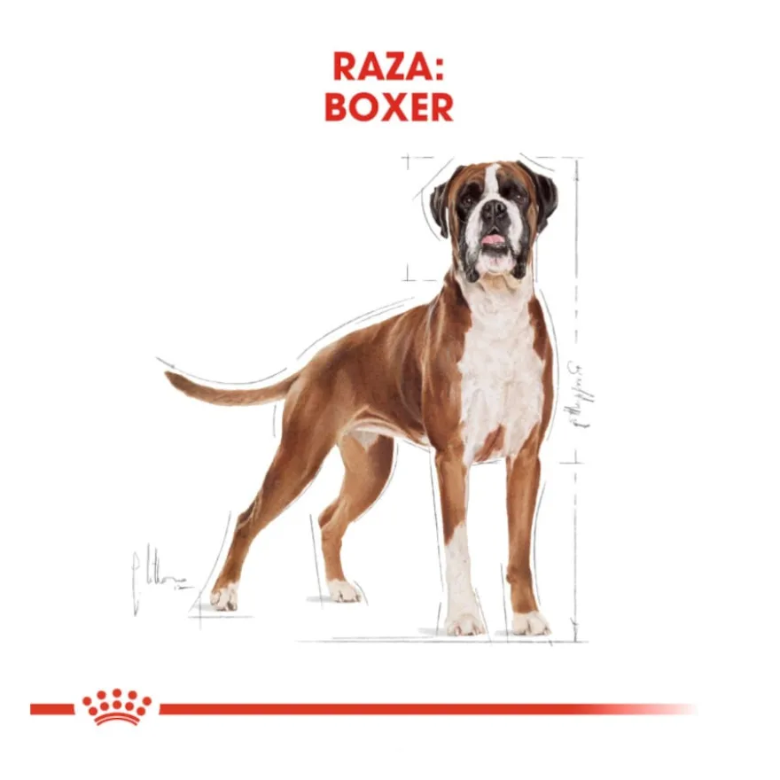 Royal Canin Adult Boxer ração para cães