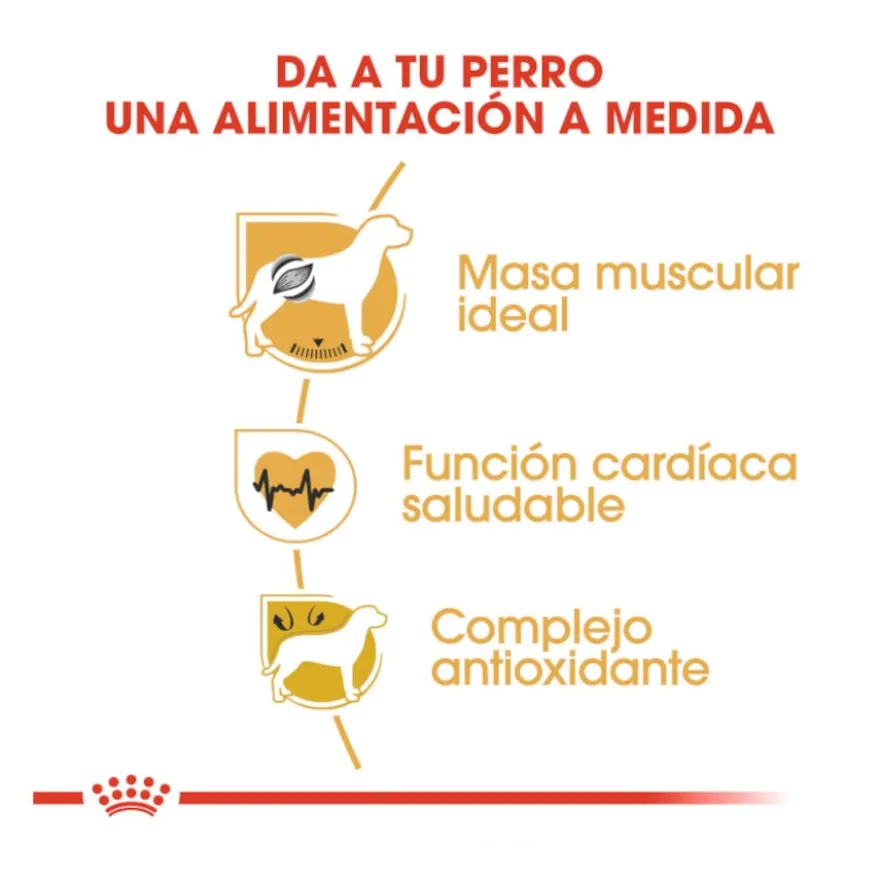 Royal Canin Adult Boxer ração para cães