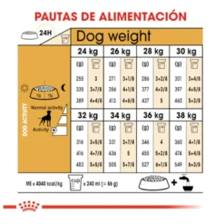 Royal Canin Adult Boxer ração para cães