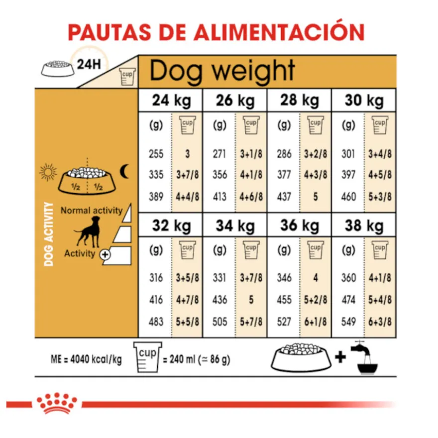 Royal Canin Adult Boxer ração para cães