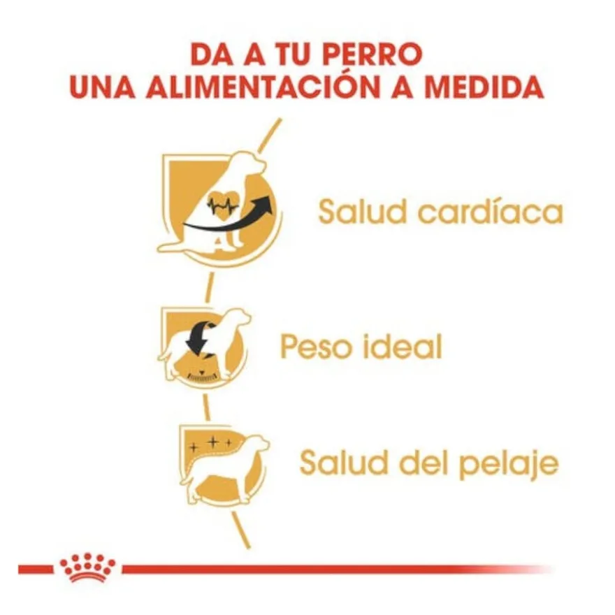 Royal Canin Adult Cavalier King Charles ração para cães
