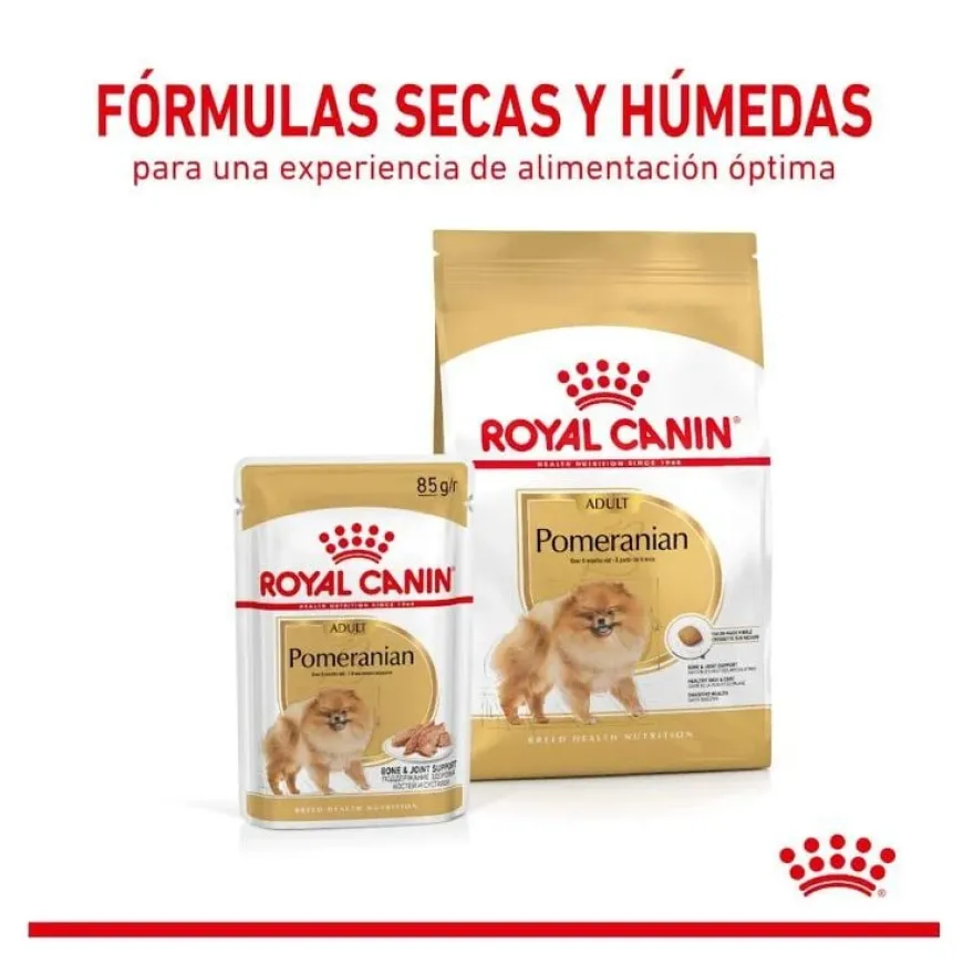Royal Canin Adult Lulu da Pomerânia ração para cães